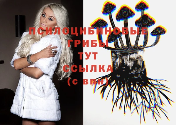 мдпв Алзамай